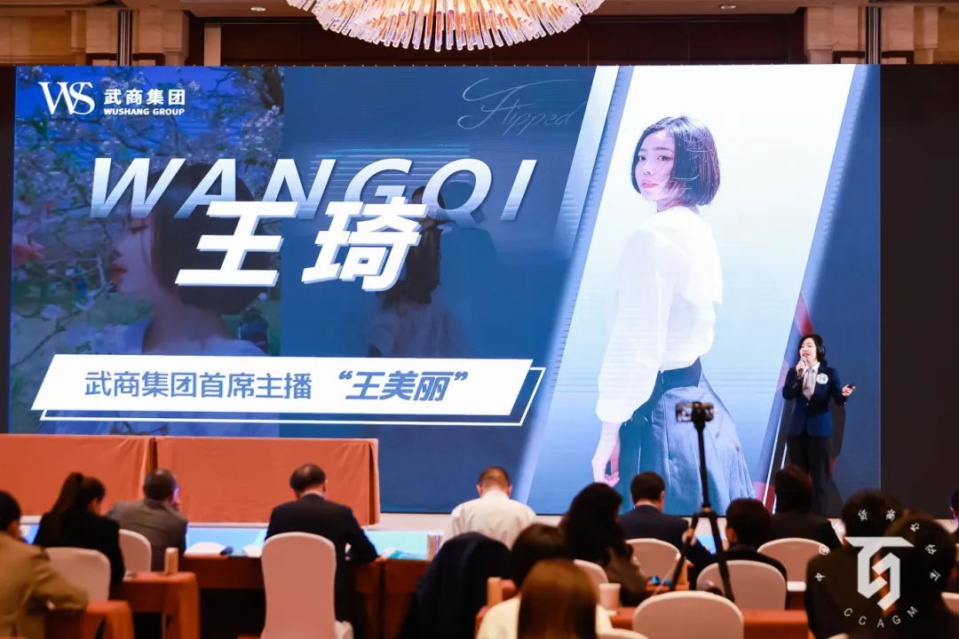 2025新澳免费资料成语平特