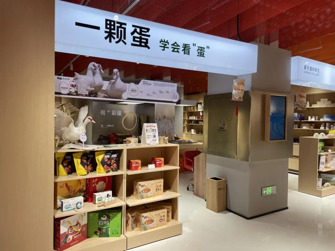 2025新澳免费资料成语平特