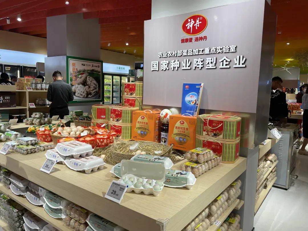2025新澳免费资料成语平特