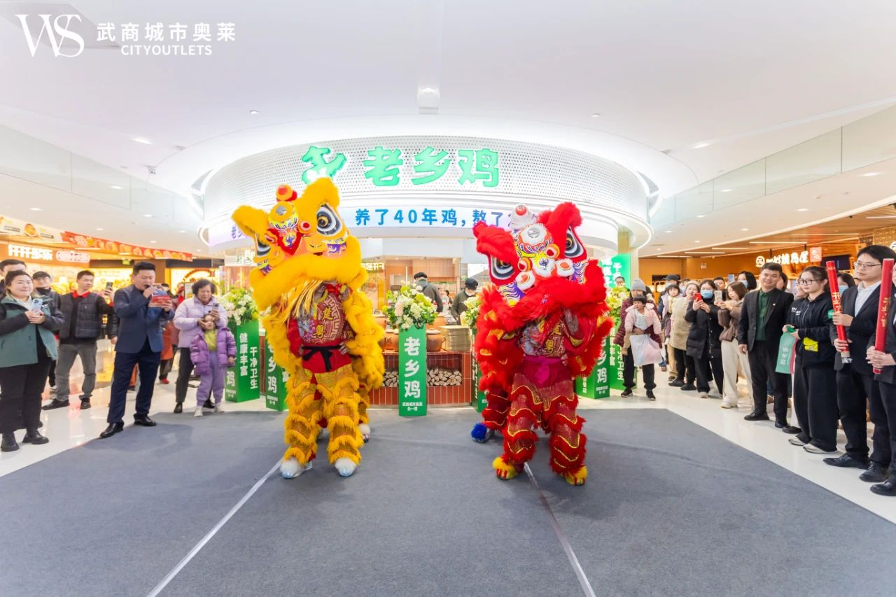 2025新澳免费资料成语平特
