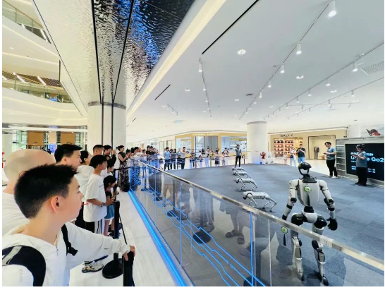 2025新澳免费资料成语平特