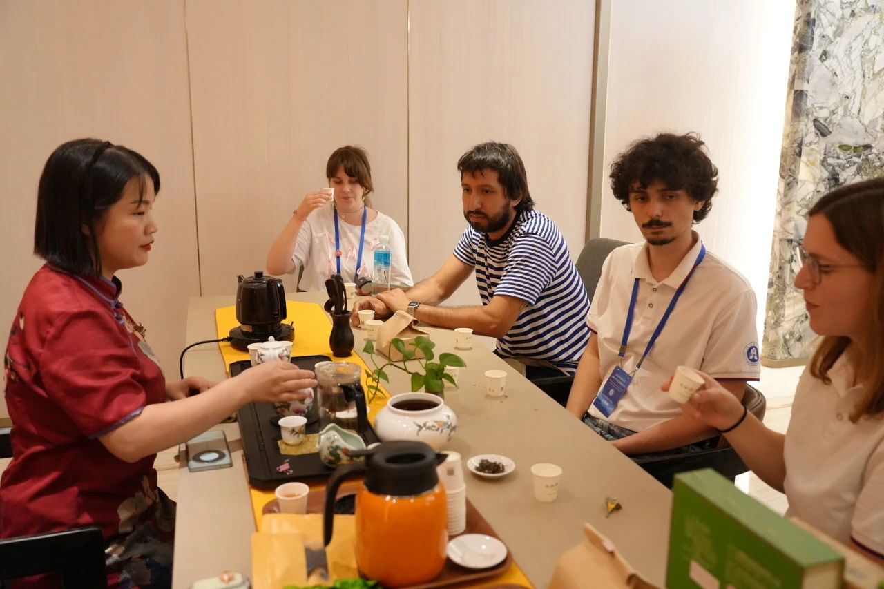 2025新澳免费资料成语平特