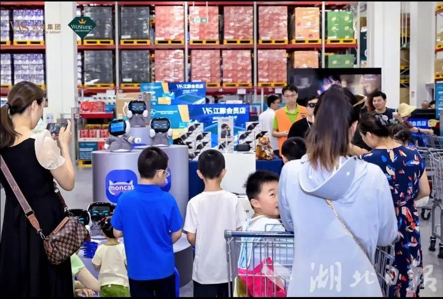 2025新澳免费资料成语平特