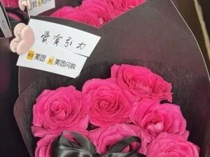 2025新澳免费资料成语平特