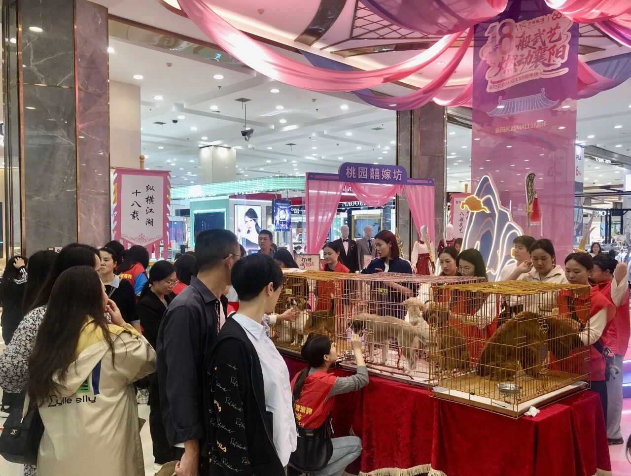 2025新澳免费资料成语平特