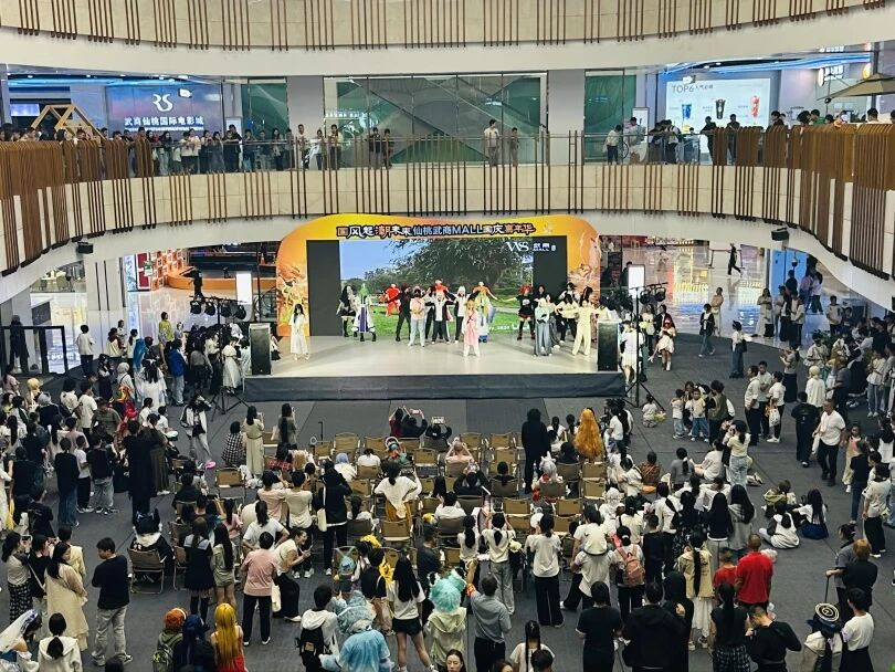 2025新澳免费资料成语平特