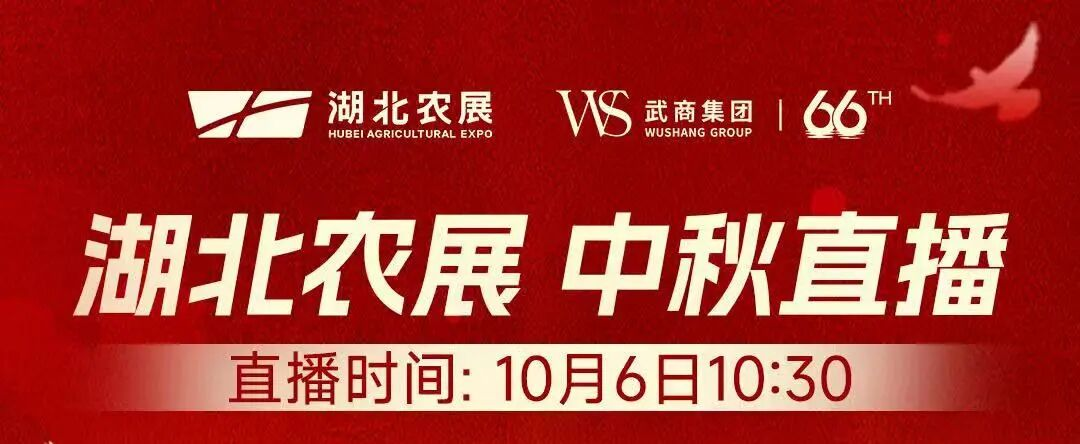 2025新澳免费资料成语平特