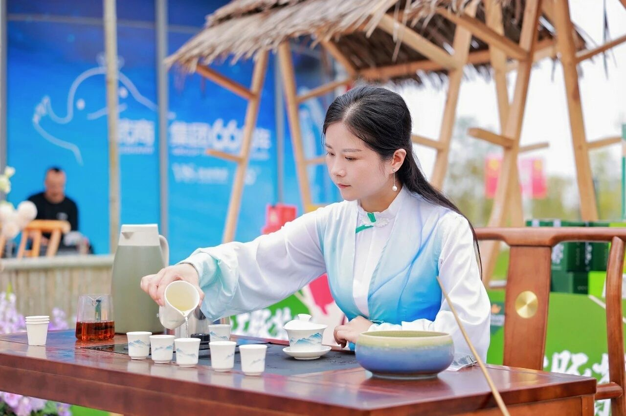 2025新澳免费资料成语平特