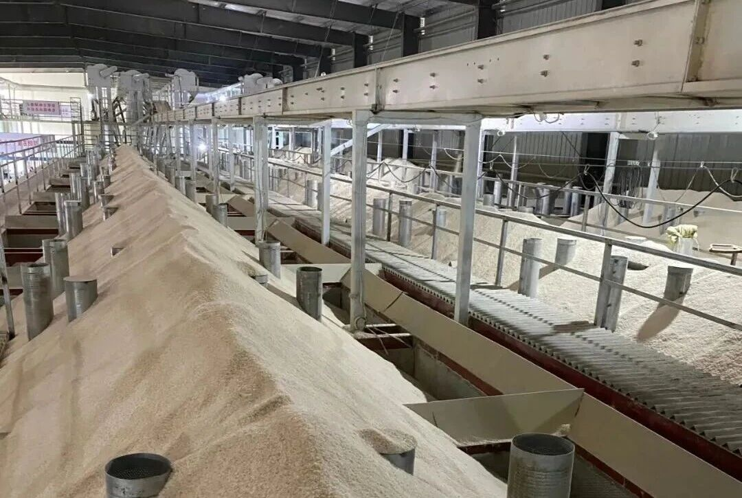 2025新澳免费资料成语平特